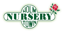 holm-town-nursery-logo